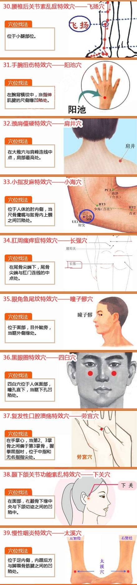 美容师：80个特效按摩穴位（收藏）