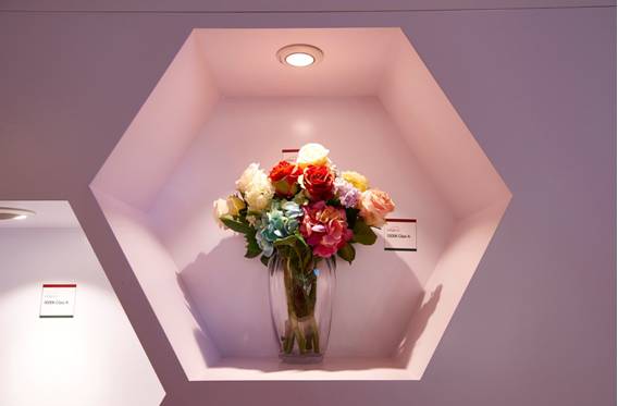 直击光亚 看商业照明如何创造光色艺术