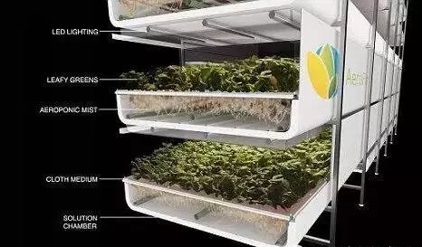 世界上最大的垂直农场采用了特殊LED灯光
