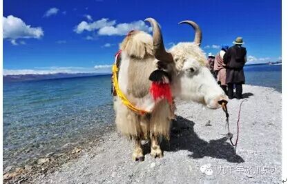 走进远古、探古溯源，寻觅净土