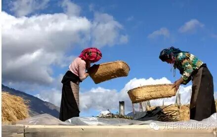 走进远古、探古溯源，寻觅净土