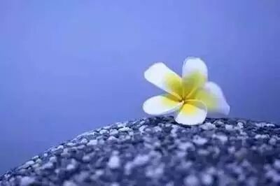 Ϊ����Щ����ò��ȴ��һ���и�����