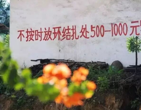 刚说二胎,标语已火!看到第9张我震惊了…-怀孕期