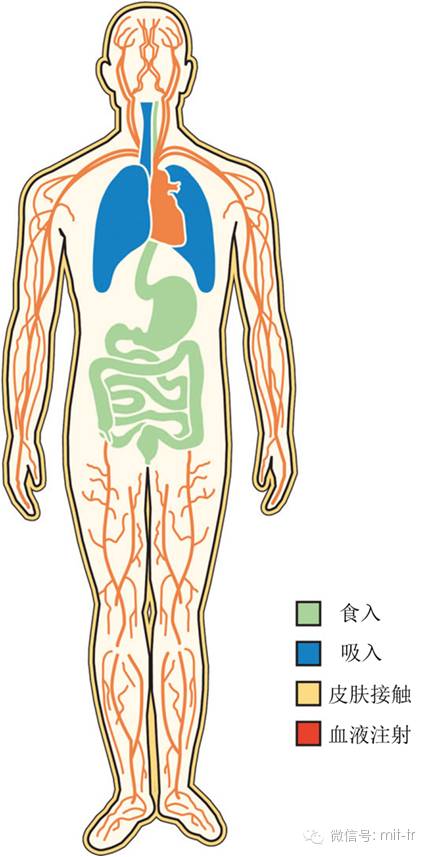 纳米材料和我们的“互动”方式（S. Stern & S. McNeil, 2008）
