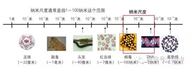 纳米尺度物质对比图（图片来源http://www.boguanhuanyu.com）