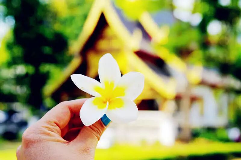 徐州到泰国旅游