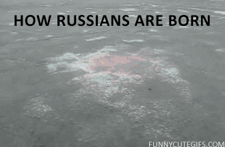 ��ֽ���������յľ�����,�ճ��������ó���