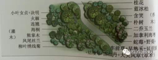 基于层次分析法的植物群落景观评价及植物配置模式分析