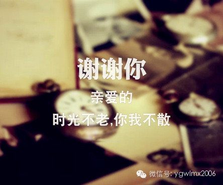 也不需要礼物 只需要对周围的人 道一声 "谢谢" 感谢你们陪伴我们走过