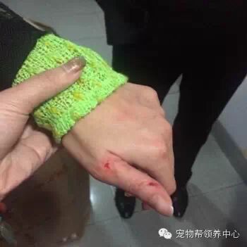 上海宠物救助领养网是诈骗团伙！