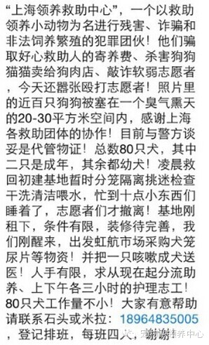 上海宠物救助领养网是诈骗团伙！