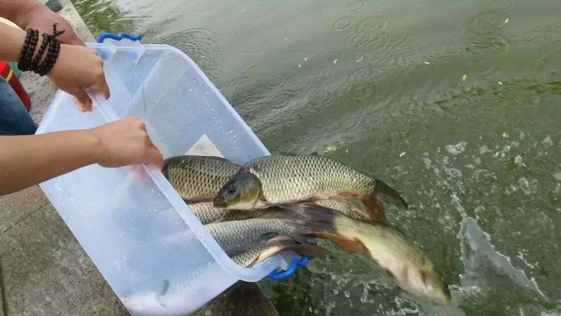 堕胎后无法怀孕,真心忏悔!-怀孕期