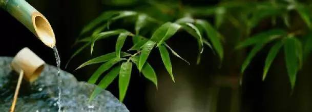 转载:你是谁的茶,在等哪杯水? - 秋博子奥 - 秋博子奥的博客 转载:你是谁的茶,在等哪杯水? - 秋博子奥 - 秋博子奥的博客