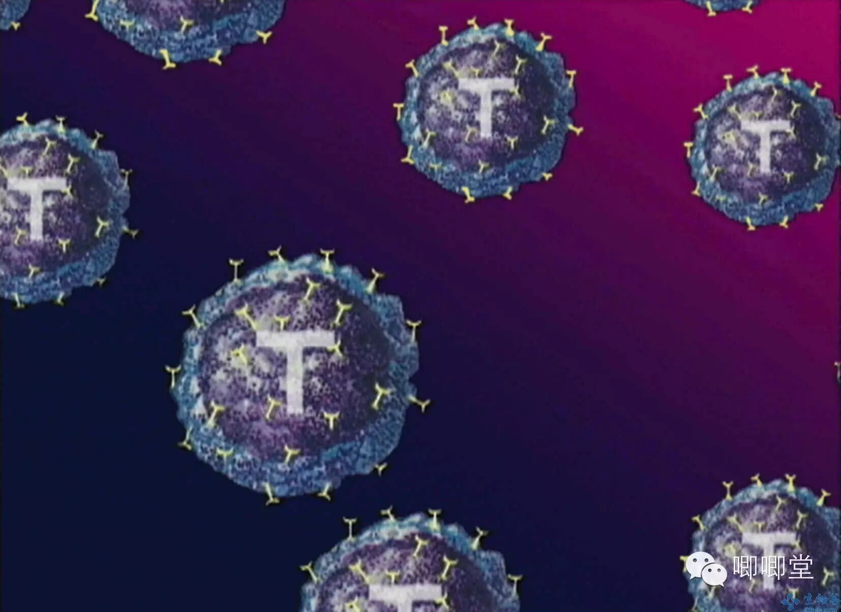 10月最新研究:为什么频繁的性行为能增加女性怀孕机率?甚至在安全期内-怀孕期