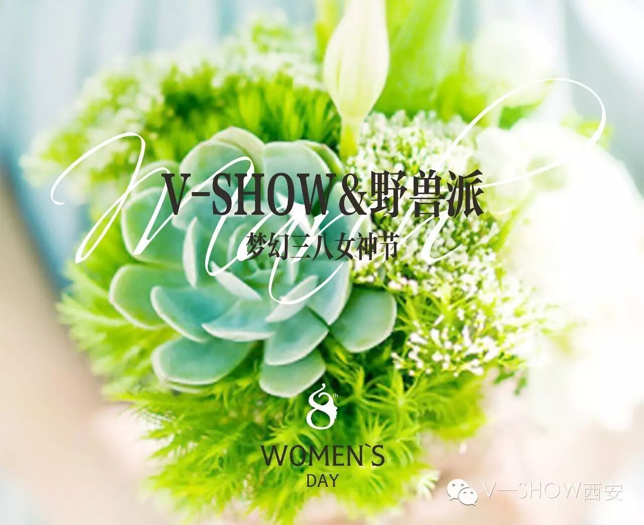 胡歌、井柏然、黄晓明都爱的品牌,这样的三八女神节约吗?