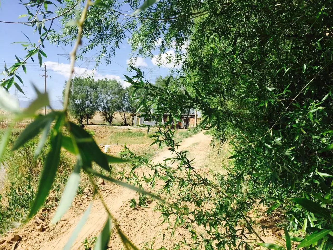 有种常见病，叫做“期望没病”