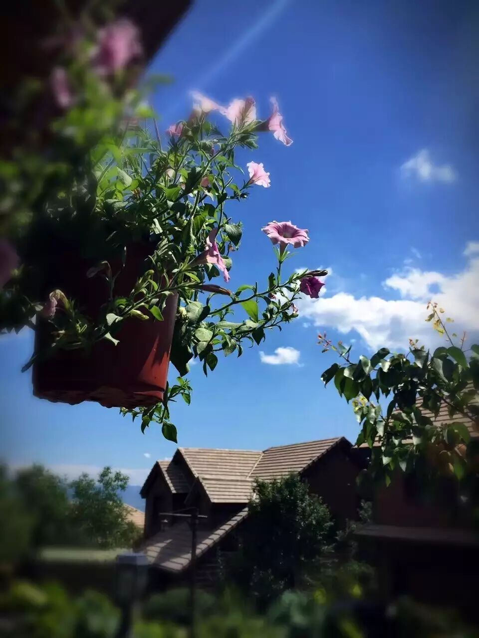 不忘初心方得始终什么意思 “不忘初心，方得始终”原来是这个意思