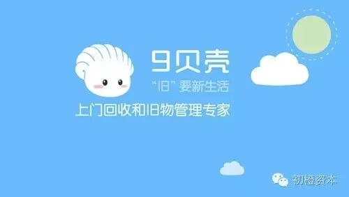 9贝壳2.jpg