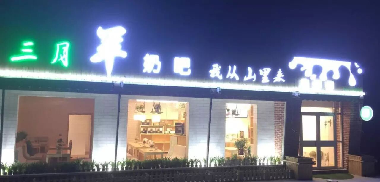 ������ҵ���������ֻ���Ѫ����һ����������̰�ȫ����������ʢ������