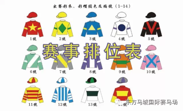 武汉速度赛马公开赛2015年第二场赛事排位表