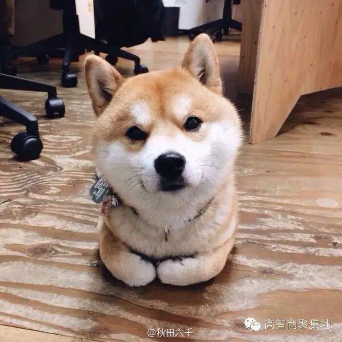 看王力宏的表演节目,奶奶对我说:“这卖娃哈哈矿泉水...