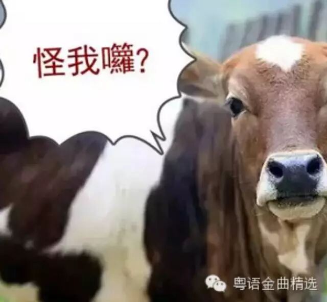 《使徒行者》,爆seed系古天乐,钉姐两人爆笑接受.....