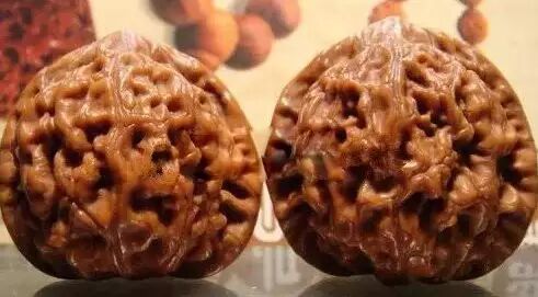 文玩核桃之这些都叫狮子头---文玩王三