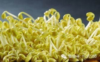 春天常吃这11种蔬菜可补足阳气 - 亮麗 - 亮麗的博客 春天常吃这11种蔬菜可补足阳气 - 亮麗 - 亮麗的博客