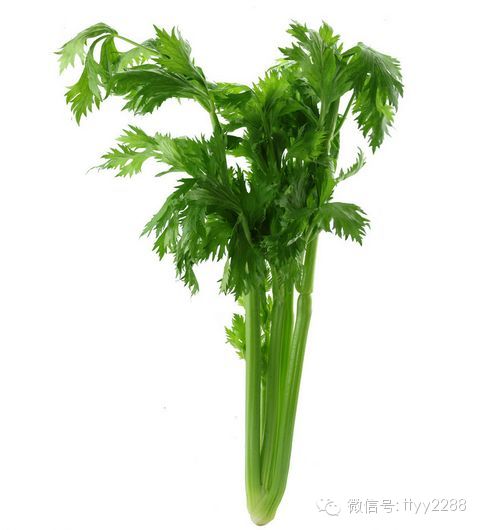 春天常吃这11种蔬菜可补足阳气 - 亮麗 - 亮麗的博客 春天常吃这11种蔬菜可补足阳气 - 亮麗 - 亮麗的博客