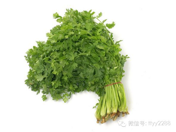 春天常吃这11种蔬菜可补足阳气 - 亮麗 - 亮麗的博客 春天常吃这11种蔬菜可补足阳气 - 亮麗 - 亮麗的博客