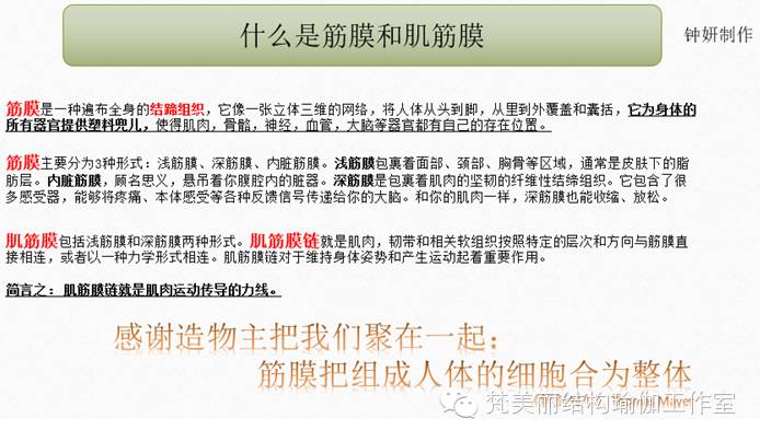 肌筋膜侧链 螺旋链紊乱对姿势异常的影响 梵美丽姿势动觉工作室 微信公众号文章阅读 Wemp