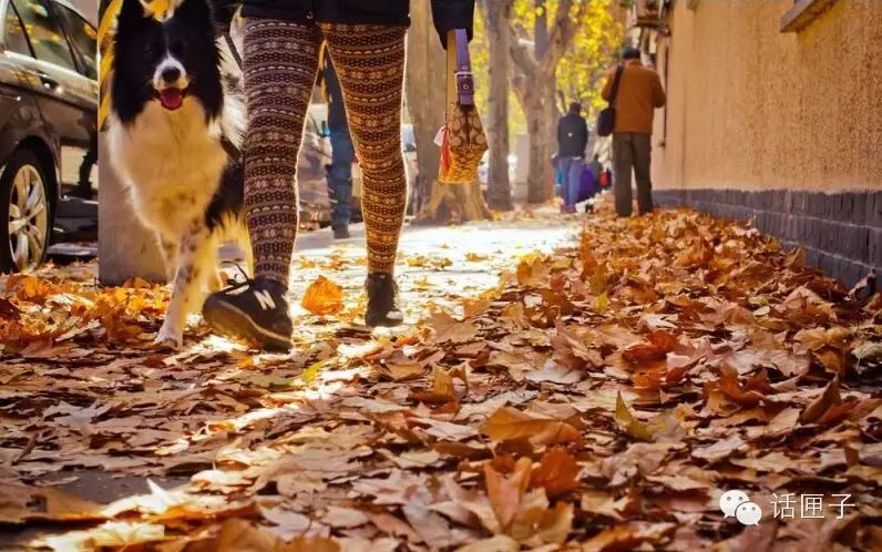 压力山大怎么生二胎?!先去徐汇过过“慢生活”吧!-怀孕期