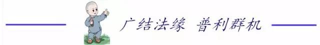 周老禅师的传奇故事