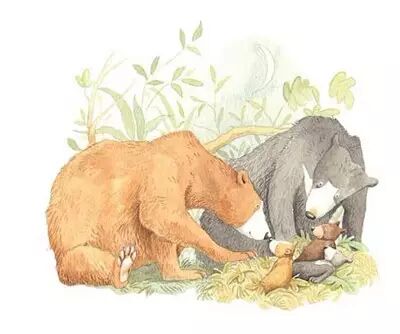 原创|二胎时代,你必看的10本绘本!-怀孕期