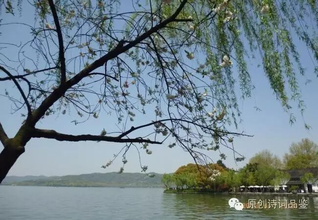 张杰最新原创作品