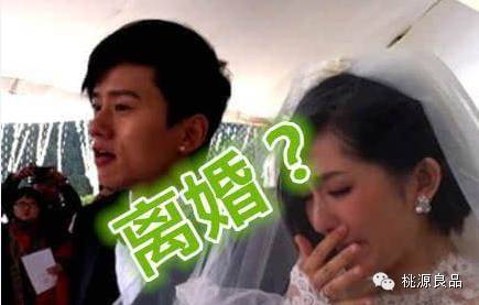 ​爆谢娜张杰离婚真相