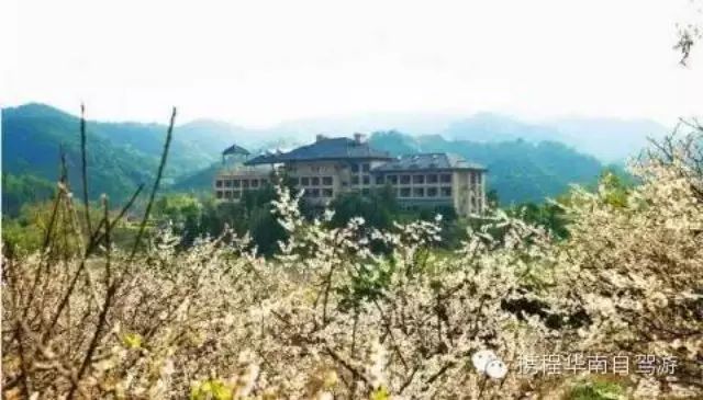 广东除了有李小龙、叶问、黄飞鸿,还有...