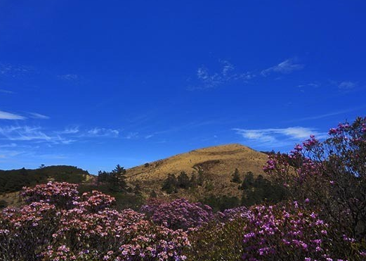 【云南的山】云南最高、最美的16座山峰大盘点，登山徒步爱好者的天堂！