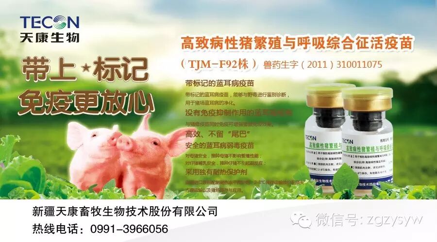 关于怀孕母猪的用药问题-怀孕期