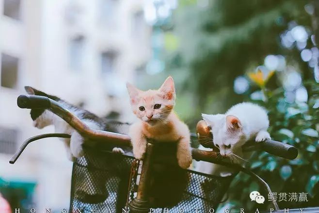 如果再见不能红着眼 是否还能红着脸           王菲《匆匆那年》