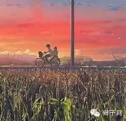 周杰伦钢琴纯音乐 不知道是什么歌却全哼出调调