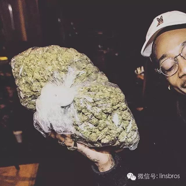 Wiz Khalifa的智慧+9张最新照片