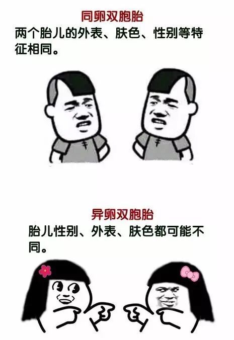 【医生爱八卦】 男人怀孕生子了,男人操的心还不止这些!-怀孕期