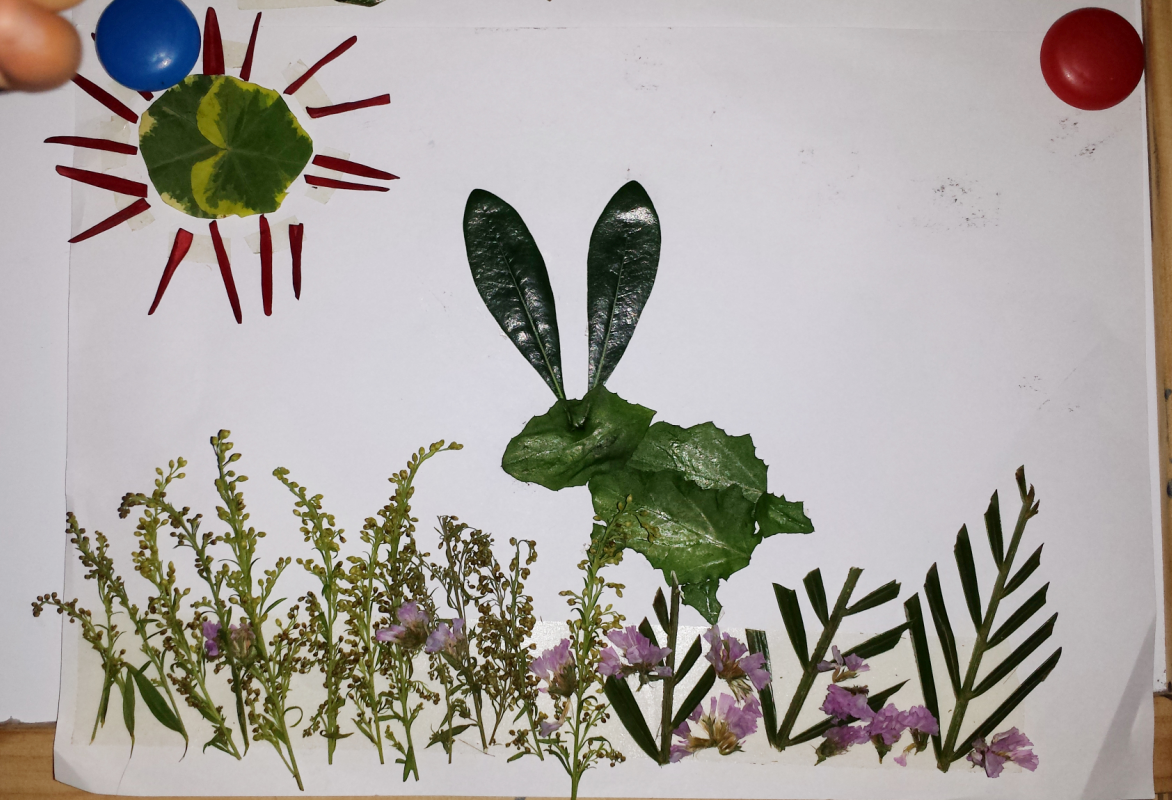 精选树叶贴画作品宝宝简介宝宝: 用红色花瓣做鱼鳞,使整幅作品让