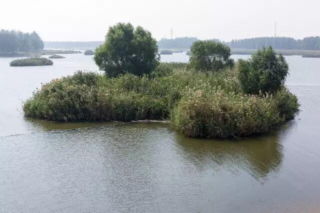 ​你所不知道的沭河古道！