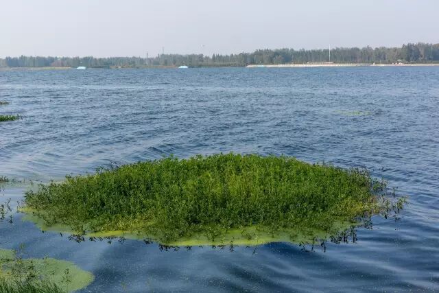 ​你所不知道的沭河古道！