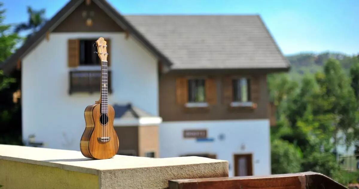 周杰伦为TA写歌,宋仲基用TA撩妹,简直是乐器界羡慕嫉...