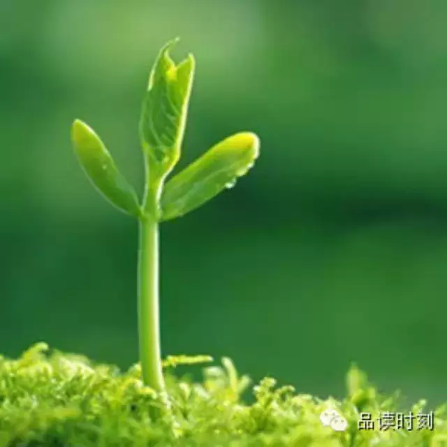 转载:简单到极致,便是大智!111 / 作者:桂花糕 / 帖子ID:107627 转载:简单到极致,便是大智!111 / 作者:桂花糕 / 帖子ID:107627