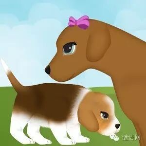 【脑筋急转弯】怀孕的母狗怕人踢它,可是有个家伙踢它,它既不躲避也不生气,为什么?-怀孕期