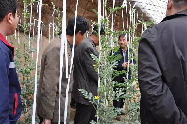 ��������Э����_�����ؽ����Ƽ��־ֳ�_�����ؿ�Э